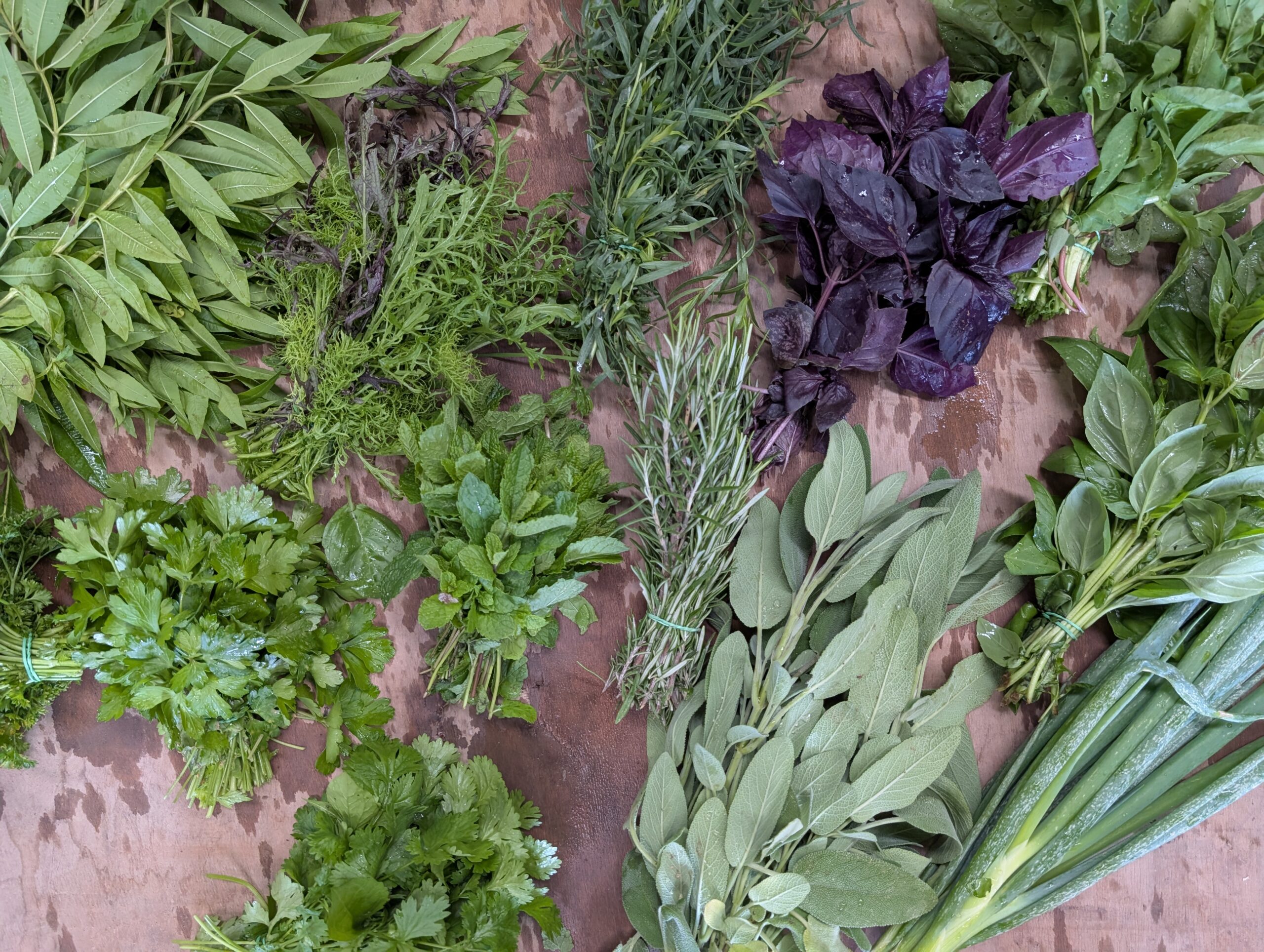 Herbe Aromatique – Image 2