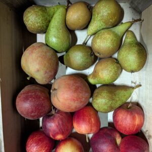 Panier Pommes Poires