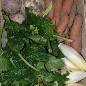 Panier Feuilles et Racines