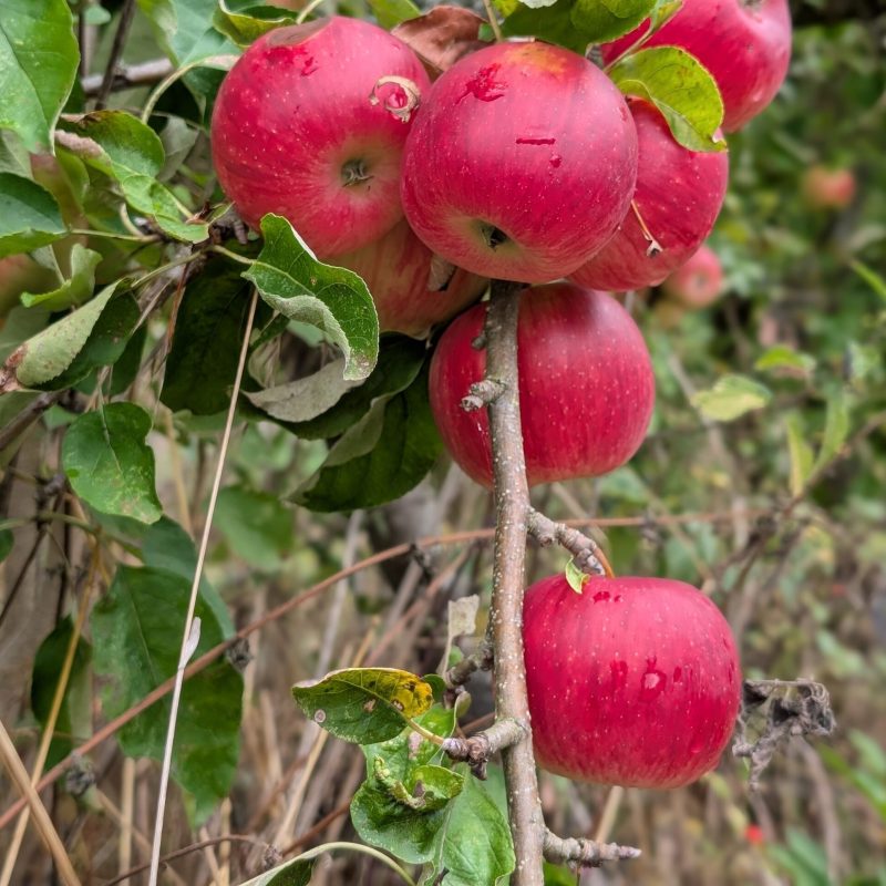 PXL_20250902_142912387.PORTRAIT